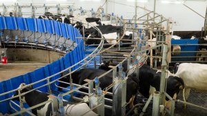 Оценка качества молока и системы фильтрации на ферме