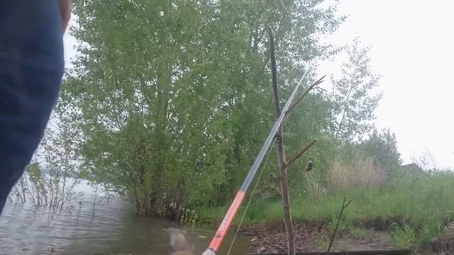 Охота на Язя. Обь, Новосибирск, Матвеевка июнь 2018 смотреть онлайн