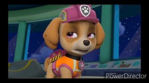 ?Скай и Гонщик ❤️??Skye & Chase??