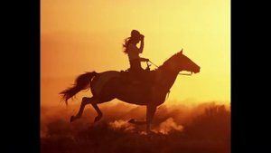 Hans Hollestelle - Johnny Guitar