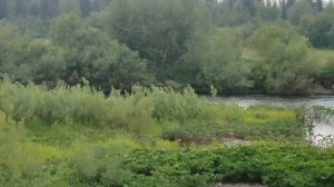 Экспедиция. Хариус. Пермский край. Часть 4.