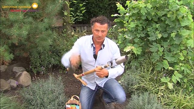 Как сажать луковицы цветов в саду? (v.o.) смотреть онлайн