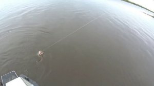 Спининг. Один день рыбалки в Ненецком АО
.flv