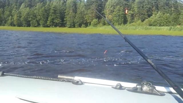 "Золотой пляж" в Васкелово. смотреть онлайн