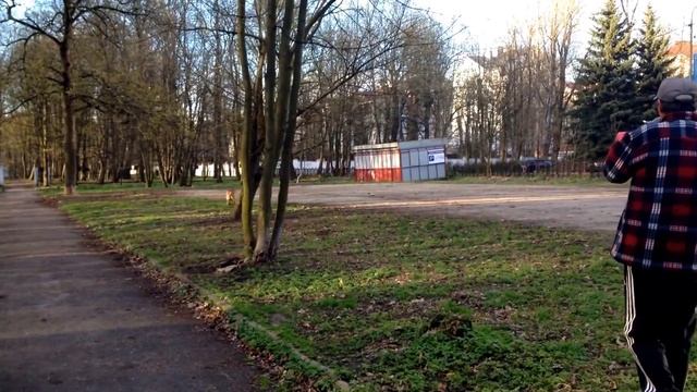 Розамунда и овчарки. 11.04.17 18:18 смотреть онлайн