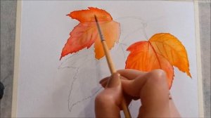 Как нарисовать осенние листья клена акварелью. Пошаговый урок для начинающих.