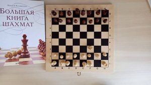 Шахматы(Chess)Урок 1. Как ходят фигуры?