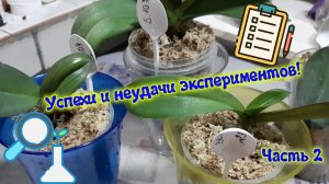 Успехи и неудачи экспериментов! Часть 2