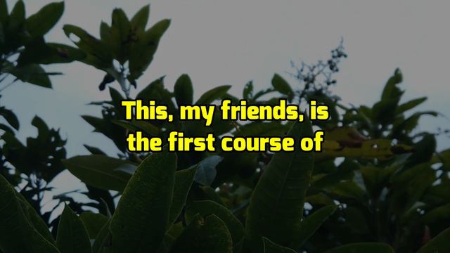 This is what the narcissists do after they  lose you forever is a source of great concern | NPD смотреть онлайн