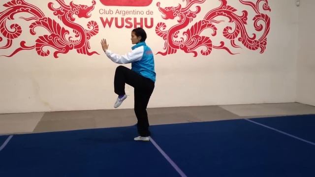 Forma básica de taiji de 16 movimientos - Taiji Jichu Taolu 太极拳基础套路 二 смотреть онлайн