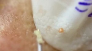 Satisfying for Relaxing Every Day with Roza Spa