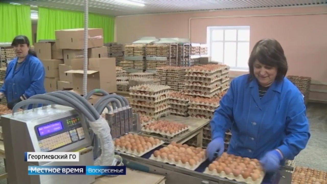 Ставропольские продавцы рассказали, что происходит с ценами на яйца в регионе