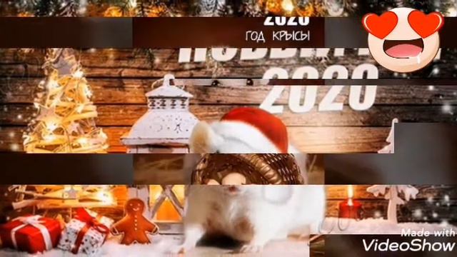 С годам крыс смотреть онлайн