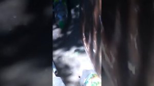 ЭТО ТОТ САМЫЙ ХОТ РОД ПИКАП Я ЕГО НАШЕЛ УРАА!!! KREOSAN