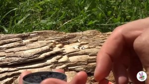 Вечное сухое горючее