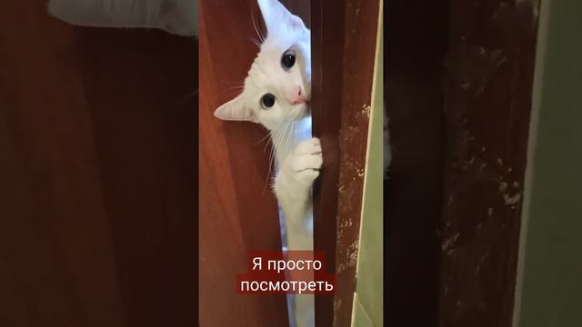 всё надо знать