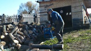 Сравниваю электропилу ЧЕМПИОН и бензиновую ШТИЛЬ. Самый честный обзор.
