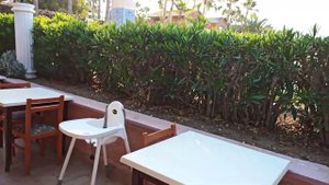 Завтрак у моря 06.07.21. Турция, Аланья. Отель Green Paradise Beach Hotel. Карантин Türkiye, Alany
