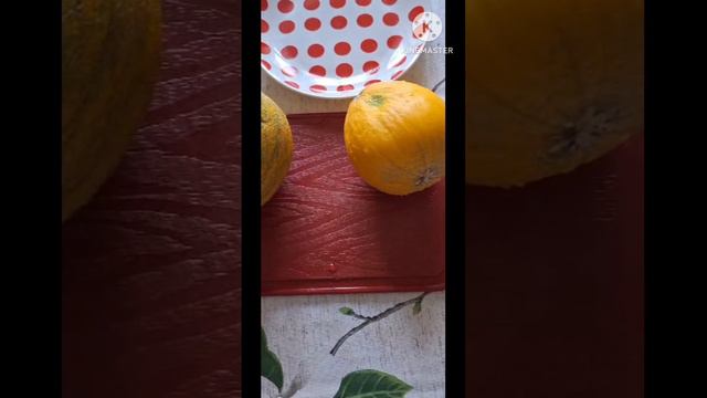 Дыни в Ленинградской области