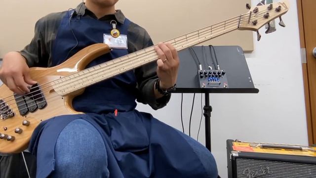 【店頭品サウンドサンプル番外編】DINGWALL × Ibanez PTPRE × Fender Rumble 40 V3 смотреть онлайн