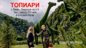 Ландшафтный дизайн в Твери, топиари купить, топиарий, топиарии