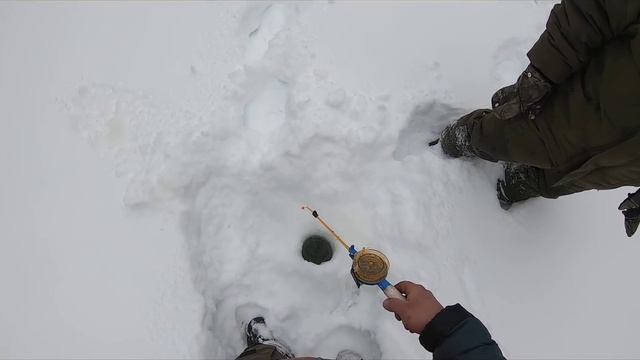 В ПОИСКАХ МЕГА ХАРИУСА КОМИ/ЛОМАЕМ ЛЕД/ВЫДРА ПОВСЮДУ! смотреть онлайн
