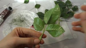 МК ПО РОЗЕ ИЗ ХОЛОДНОГО ФАРФОРА_ Часть 4, финальная.mp4