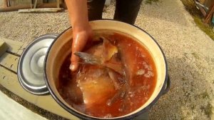 Готовим леща для холодного копчения.