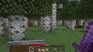 Жители vs разбойники #14 ФИНАЛ