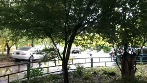 Заброшенный домофон Страж на подвале