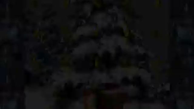 Donkey Kong Country - Snow Barrel Blast смотреть онлайн