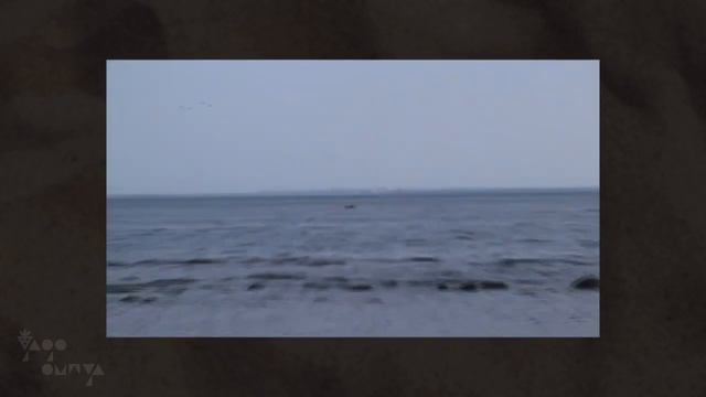 Поездка в Комарово