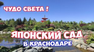 Японский сад в парке Галицкого в Краснодаре. ЛУЧШИЙ ПАРК В РОССИИ!