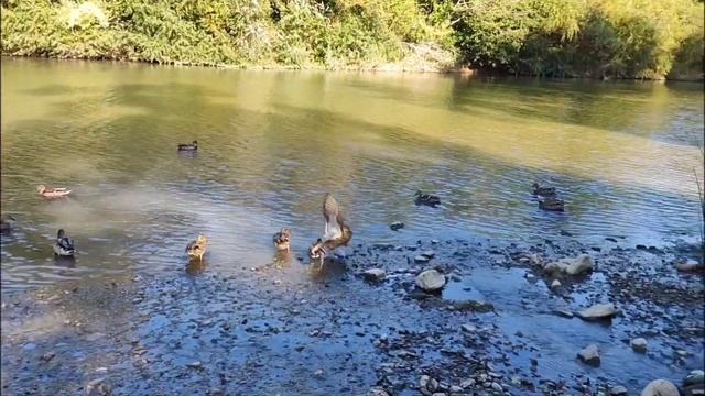 Целебные места для души и тела в Горячем ключе. смотреть онлайн