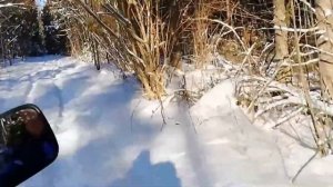 Квадроцикл Стелс Леопард 500 YS Зимняя прогулка