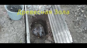 Посадка Инжира в Траншею.Planting Figs in a Trench