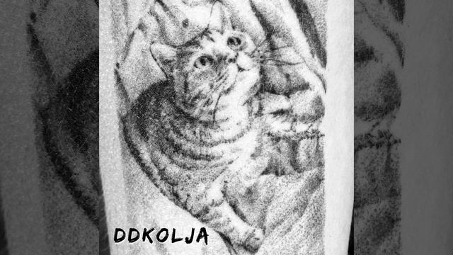 Котя, Котенька, Коток смотреть онлайн