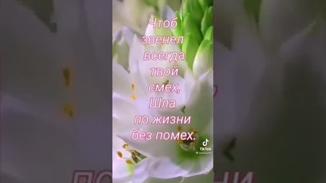 Видео открытка с 8 марта!🌹