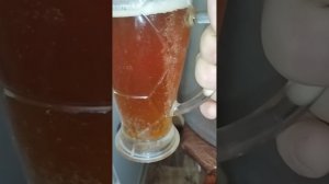 Моё первое пиво 🍻🍺 первый слив 🍻 пиво в домашних условиях