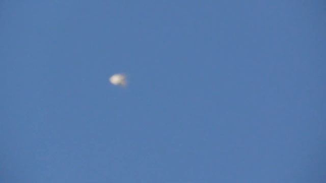 Белые голуби берут игру! Пополнение в полигоне! Вечерняя посадка! смотреть онлайн