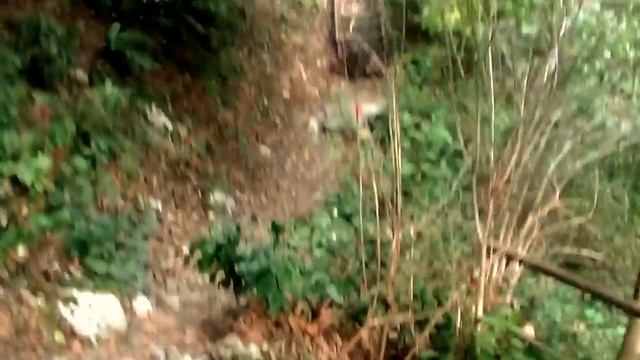 12_11_2014_МАЦЕСТА-АГУРСКИЕ ВОДОПАДЫ,ОРЛИНЫЕ СКАЛЫ.mp4 смотреть онлайн