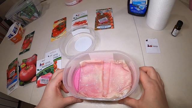 Как замочить помидоры перед посевом. смотреть онлайн