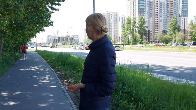 Посмотрим окружение Московского района | Обзор ЖК Аквилон Leaves
