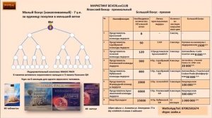 Презентация о компании Беверли клуб продукте и о потребительской компании  Shiseido Seiyaku .