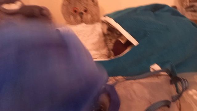 Первое видео//// Знакомство!//// Обзор на спальню////