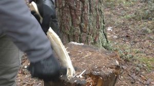 Что за N690Co у Fox Knives?! Нож PREDATOR II - 2F FULL AUTO. Уличный тест.