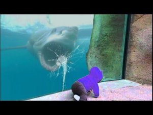 Случаи, Когда Стекло Оказалось Недостаточно Прочным