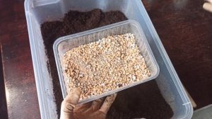 Универсальный грунт для комнатных растений