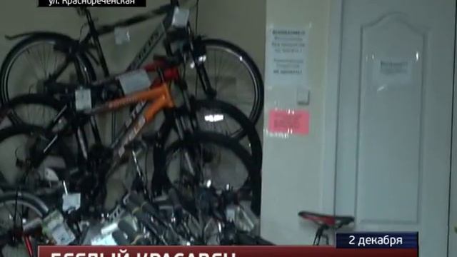 Продавцы приютили элитного голубя смотреть онлайн