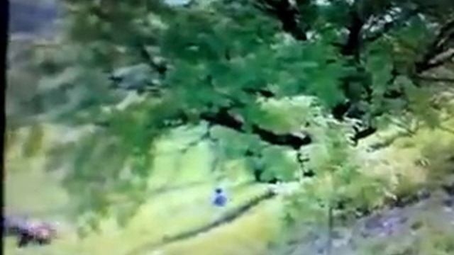 падение квадроцикла смотреть онлайн